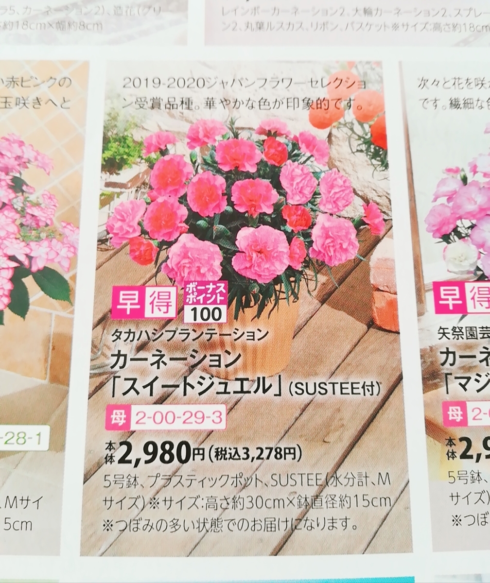 f:id:s-kumakuma:20210316204800j:plain