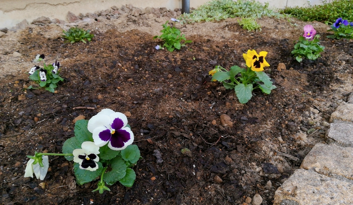 f:id:s-kumakuma:20211109215655j:plain