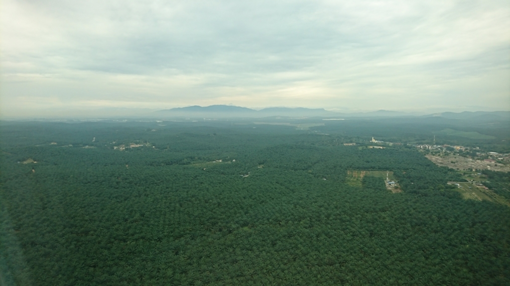 f:id:s-majin:20180127180913j:plain