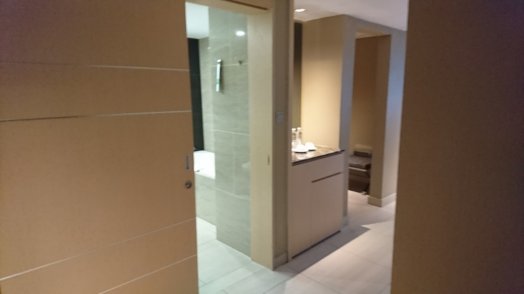 f:id:s-majin:20180127181247j:plain