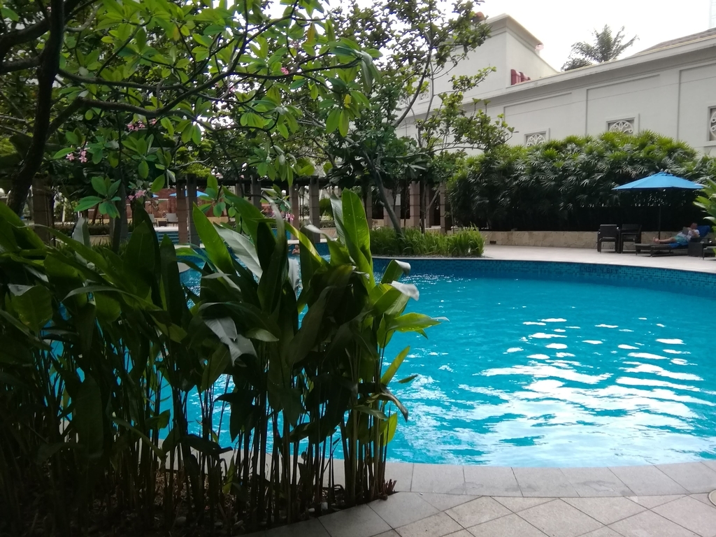 f:id:s-majin:20180910082524j:plain