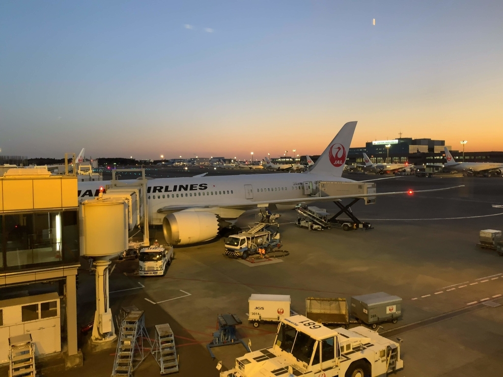 f:id:s-majin:20190103033059j:plain f:id:s-majin:20190103033059j:plain