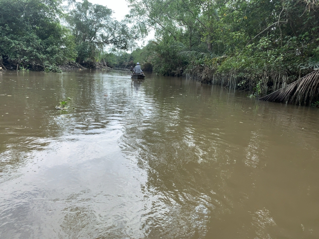 f:id:s-majin:20190115055357j:plain