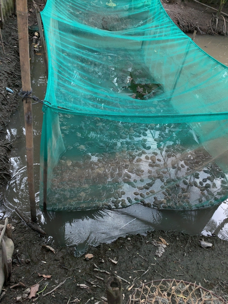 f:id:s-majin:20190115055448j:plain