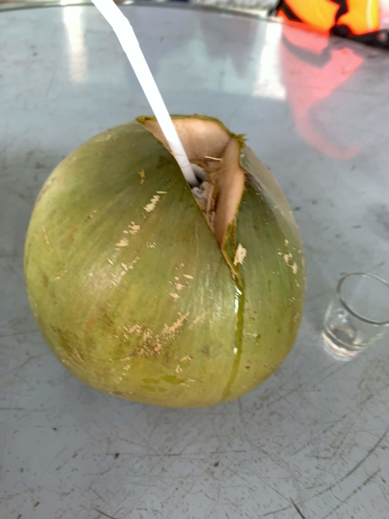 f:id:s-majin:20190115055516j:plain