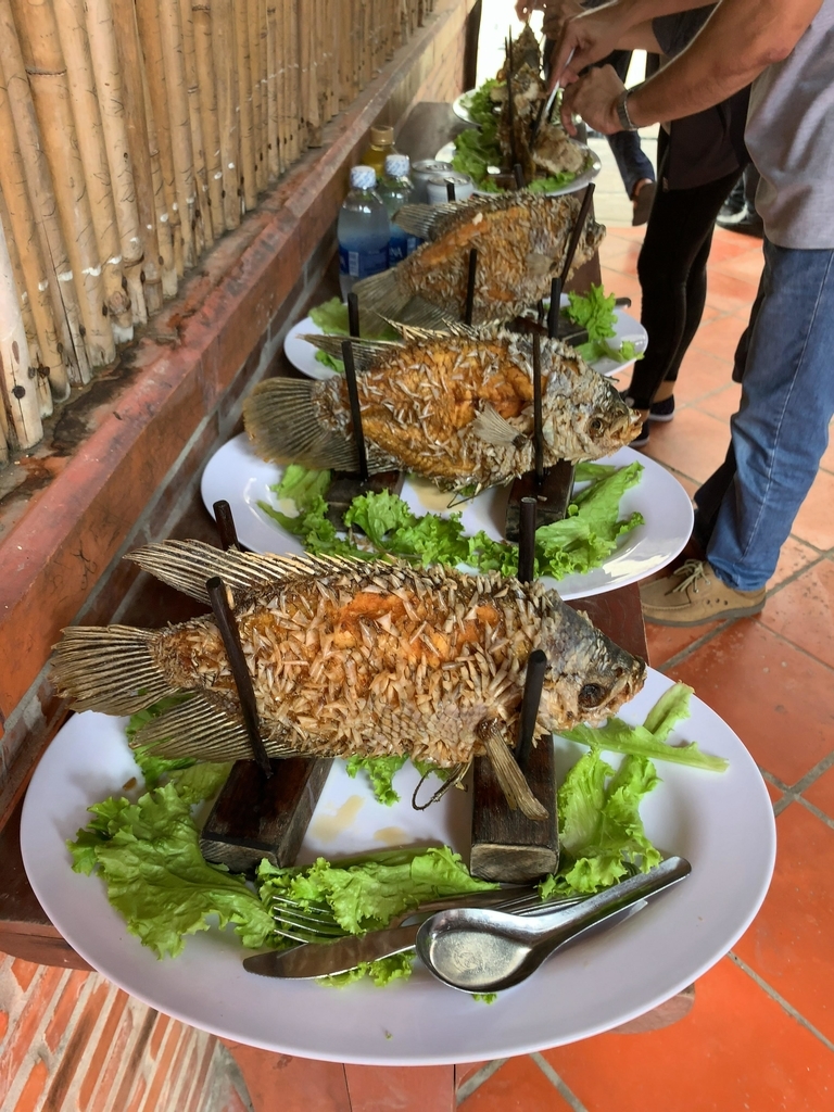 f:id:s-majin:20190115055625j:plain