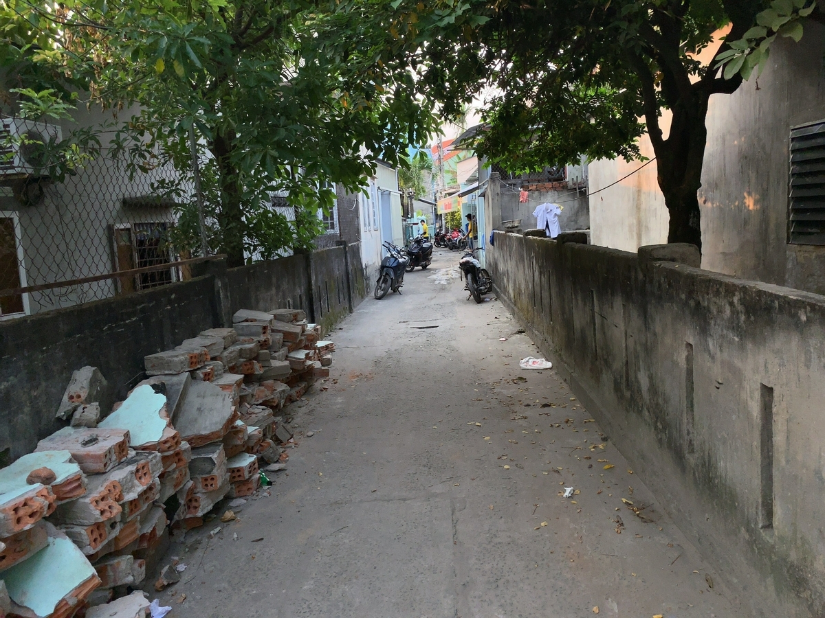 f:id:s-majin:20190322151325j:plain