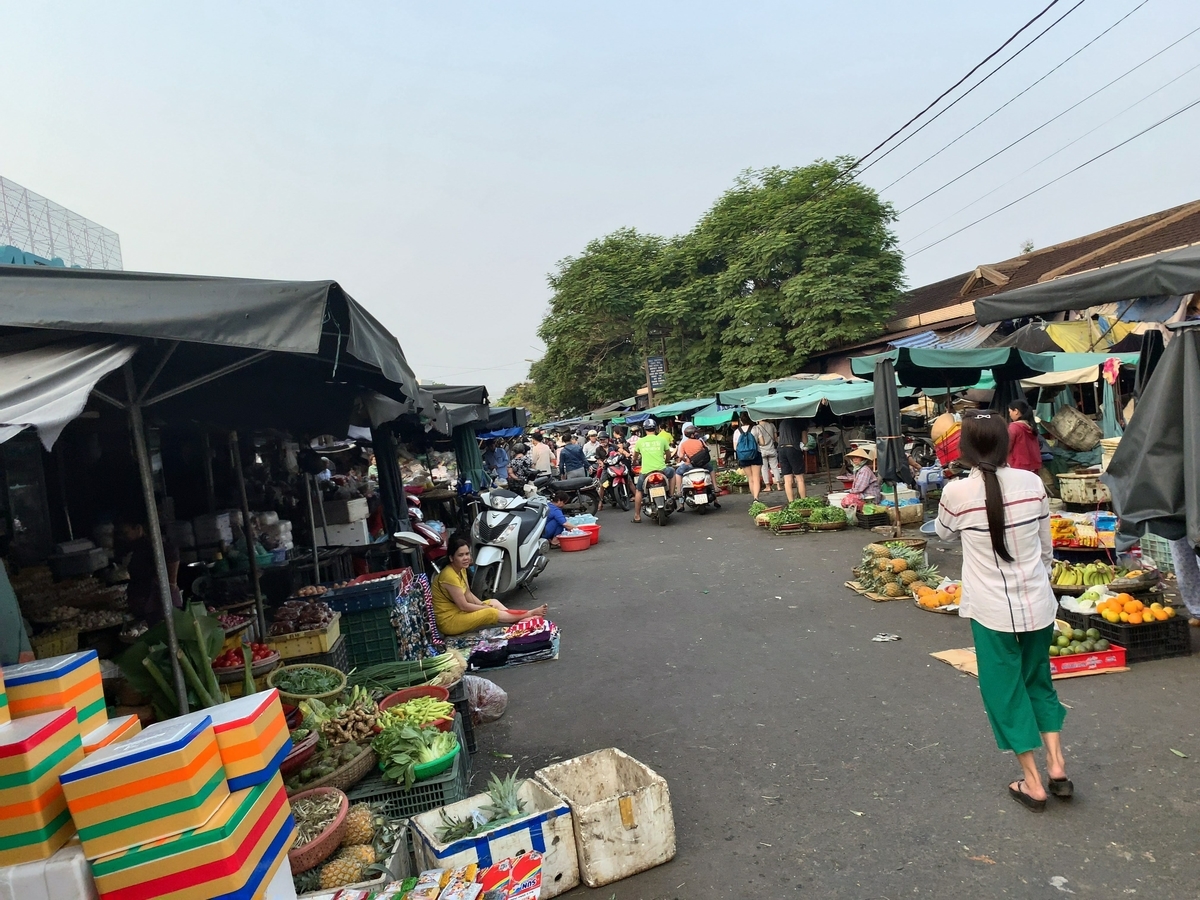 f:id:s-majin:20190327125349j:plain