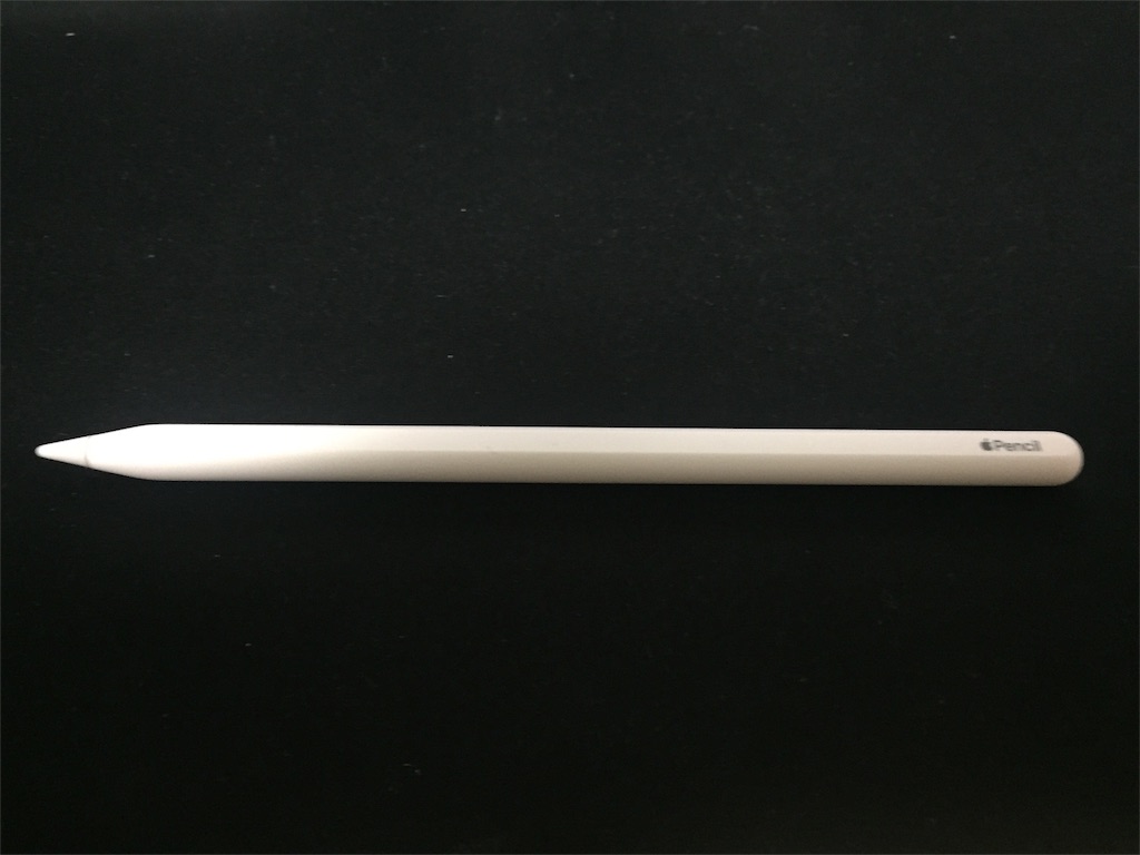 Apple iPad Pro 11インチ【第二世代】+ Apple Pencil iPad Pro 11インチ 256 スペースグレー Apple pencil（Apple