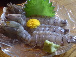f:id:s-nao:20080608114756j:image