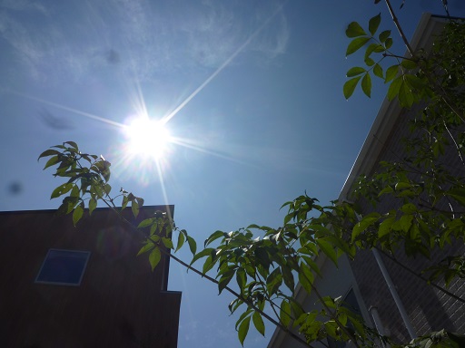 f:id:s-ochiai0423:20171004113943j:plain f:id:s-ochiai0423:20171004113943j:plain