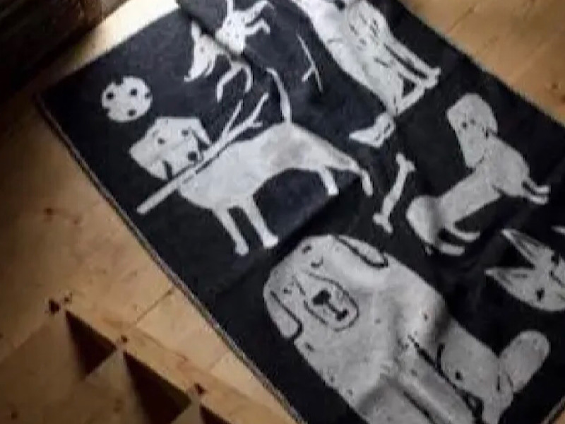 かわいい犬のイラスト入りブランケットとかご『LAPUAN KANKURIT（ラプ