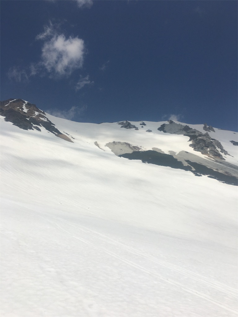 f:id:s-pico:20230507214732j:image f:id:s-pico:20230507214732j:image