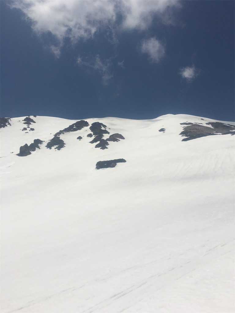 f:id:s-pico:20230507214735j:image f:id:s-pico:20230507214735j:image