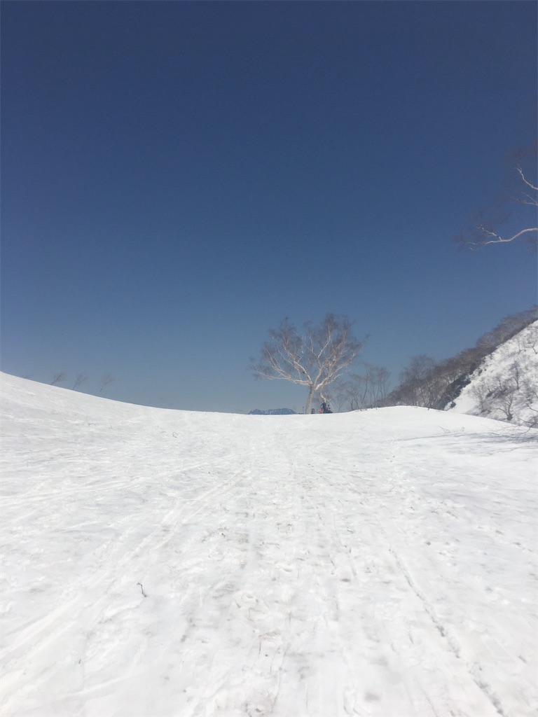 f:id:s-pico:20230507214901j:image f:id:s-pico:20230507214901j:image
