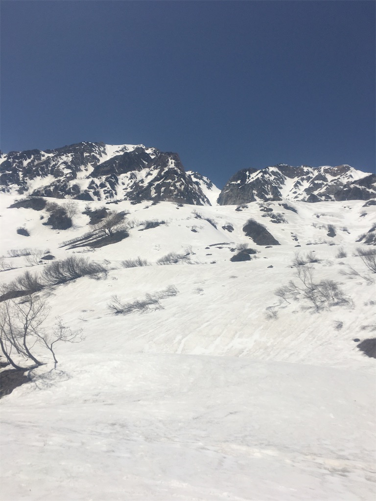 f:id:s-pico:20230507214911j:image f:id:s-pico:20230507214911j:image