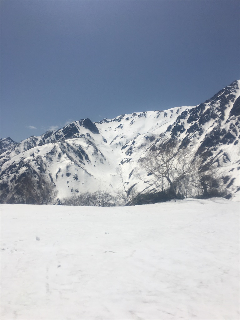 f:id:s-pico:20230507214920j:image f:id:s-pico:20230507214920j:image