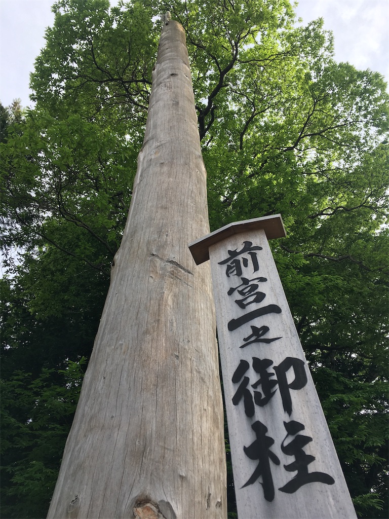 f:id:s-pico:20230528223139j:image f:id:s-pico:20230528223139j:image