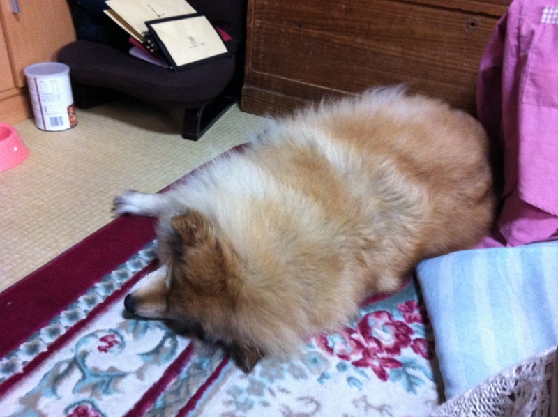 f:id:s-russia:20130422153136j:image