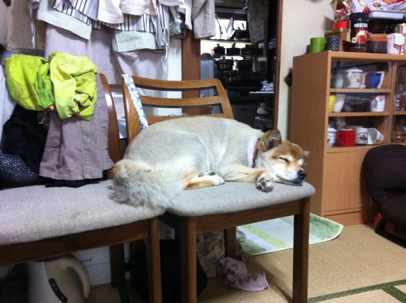 f:id:s-russia:20130618125218j:image