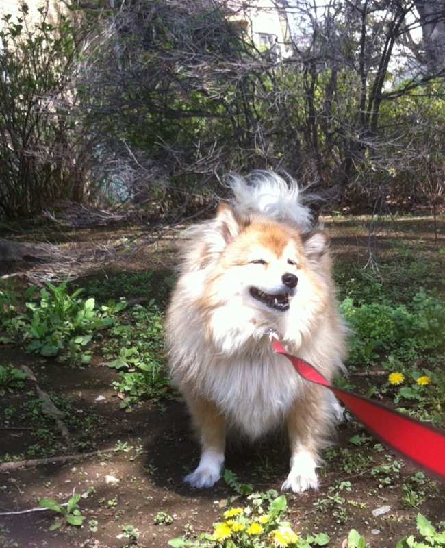 f:id:s-russia:20140408102807j:image