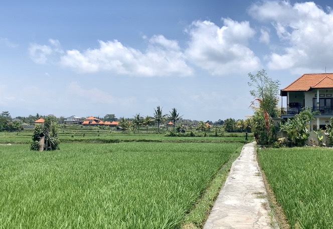 f:id:s-susie:20200301125540j:plain