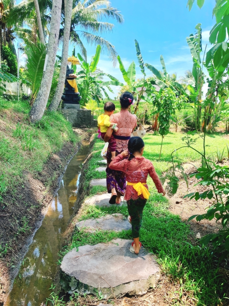 f:id:s-susie:20200306094012j:plain