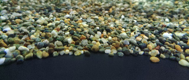150㎝水槽の底面砂を変えました。 - タケ丸のポリプテルス観察ブログ