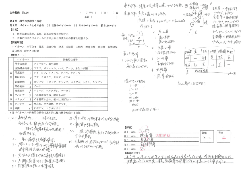 f:id:s-tamagawa:20190417102829p:plain