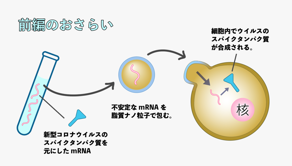 f:id:s-tamagawa:20210618134957p:plain