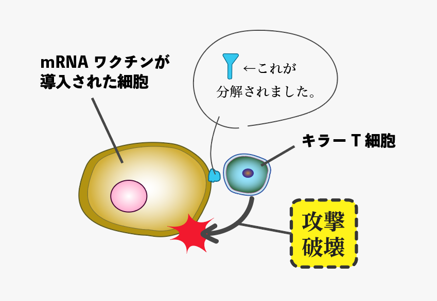 f:id:s-tamagawa:20210621145145p:plain