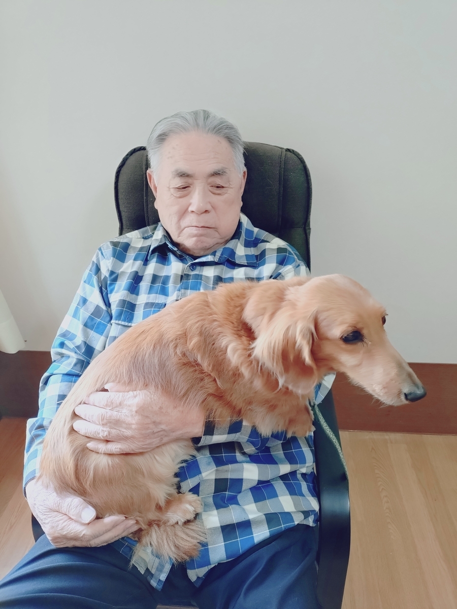 まめちゃん🐶来訪 - 天寿会 いたどり