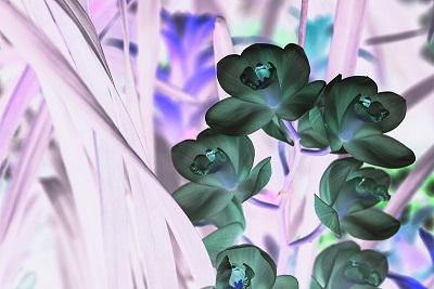 f:id:s-uotani-zetakansu:20170816001223j:plain f:id:s-uotani-zetakansu:20170816001223j:plain