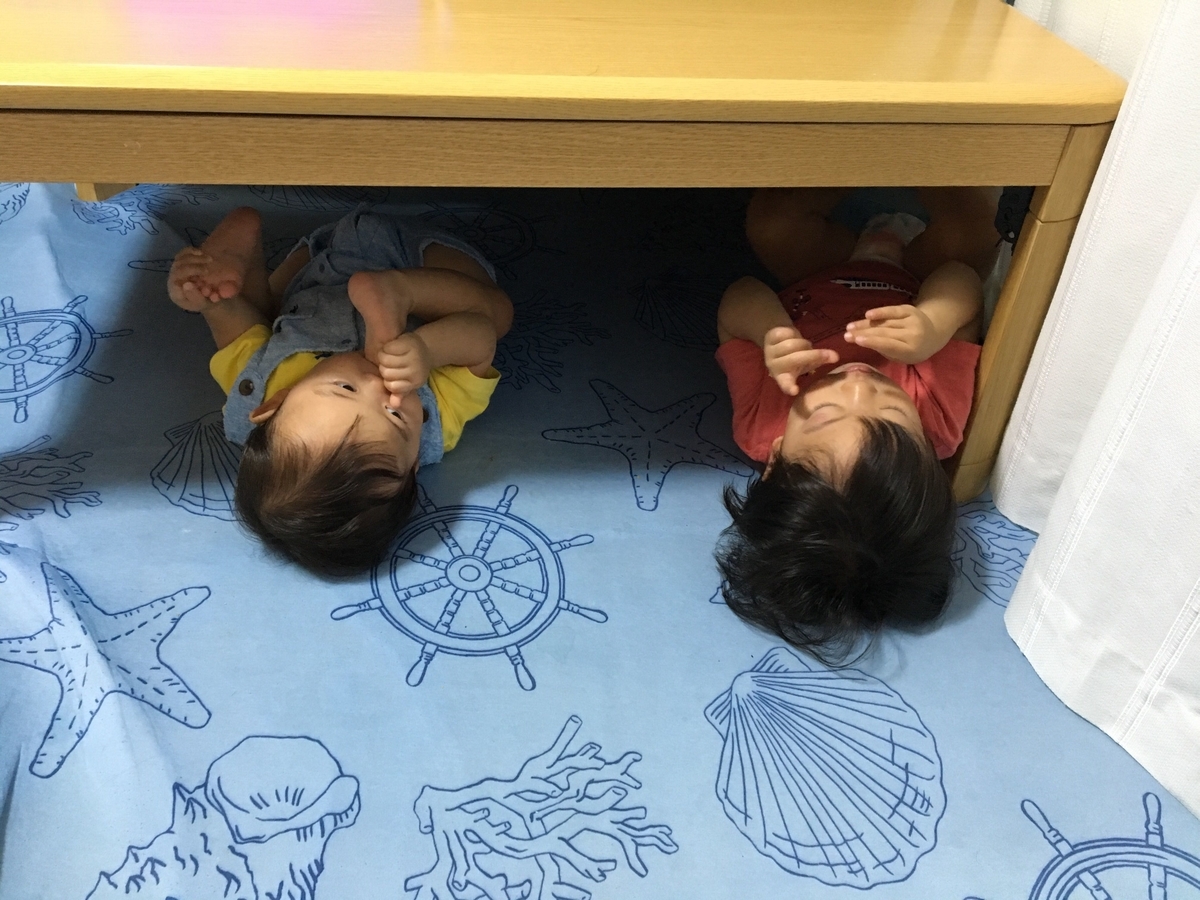 f:id:s-uotani-zetakansu:20191121014153j:plain f:id:s-uotani-zetakansu:20191121014153j:plain