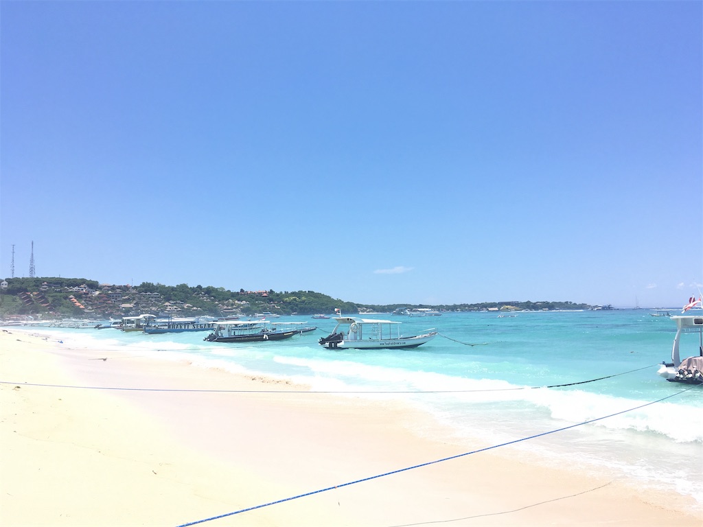 f:id:s-wakasugi0425:20190224212013j:image f:id:s-wakasugi0425:20190224212013j:image