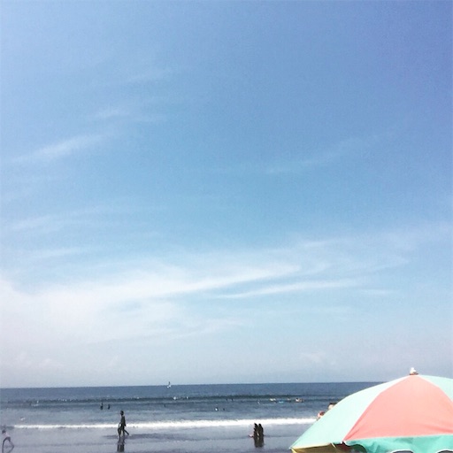 f:id:s-wani85:20160806210432j:image f:id:s-wani85:20160806210432j:image