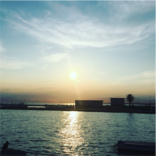f:id:s-wani85:20160806210826j:image f:id:s-wani85:20160806210826j:image