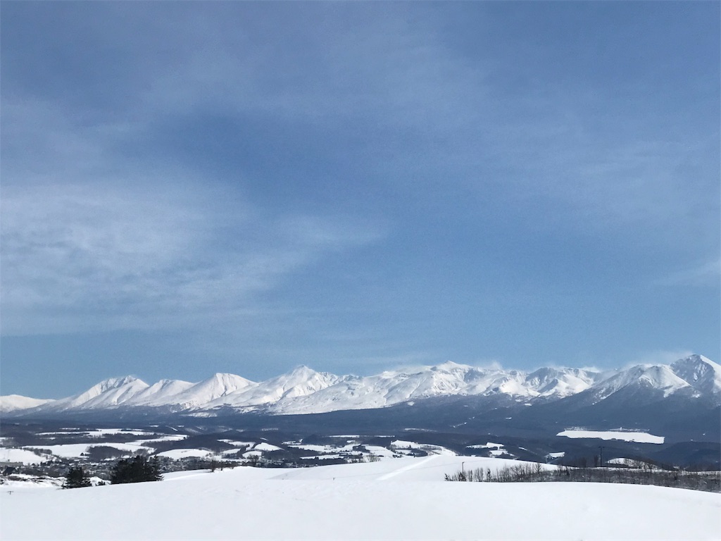 f:id:s-yuu12433:20190304000453j:image