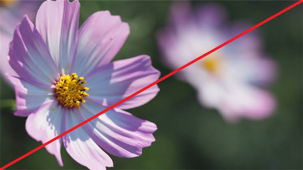 f:id:s0306400h:20210806160717j:image