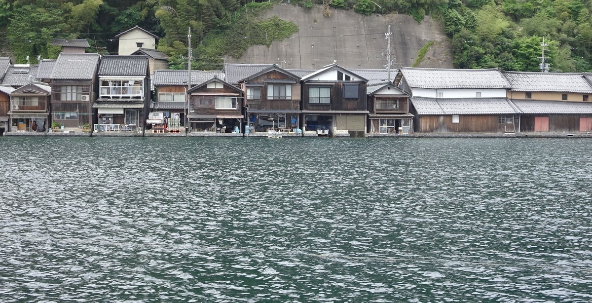 伊根湾の観光船に群がるカモメたち - 宝の日記