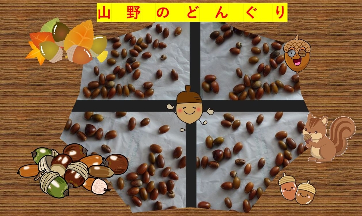 団栗ア-ト - 宝の日記
