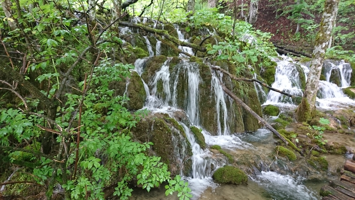 f:id:s06075:20190604054128j:plain