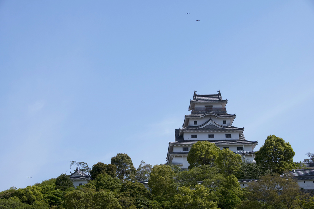 f:id:s06216to:20151114101218j:plain