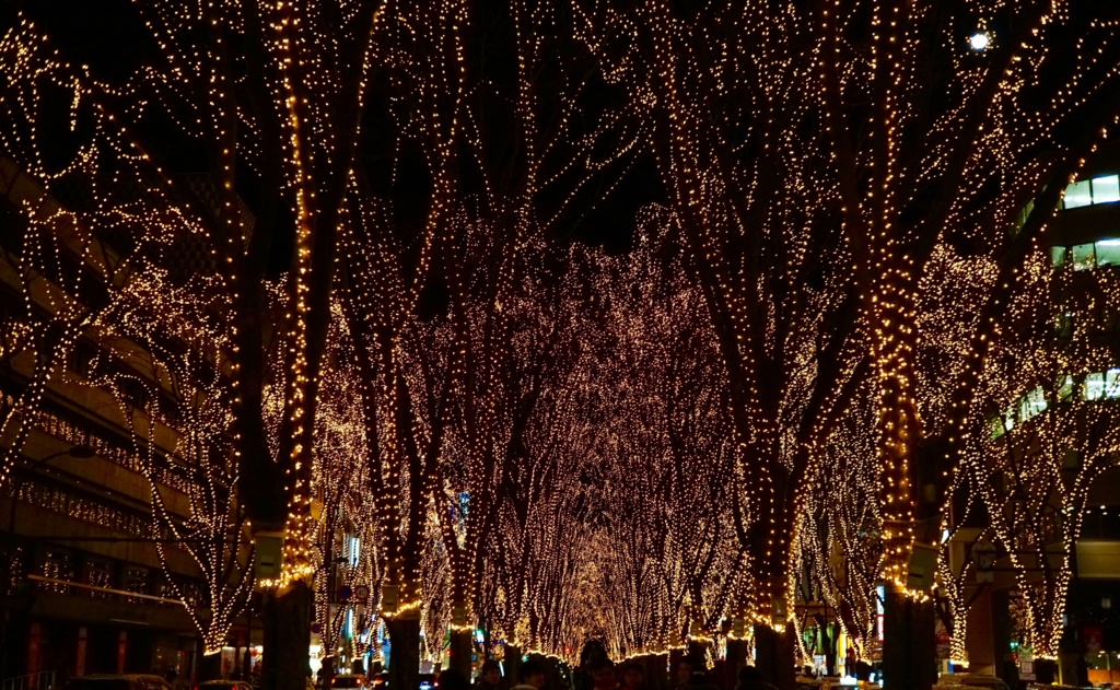 f:id:s06216to:20151228214015j:plain