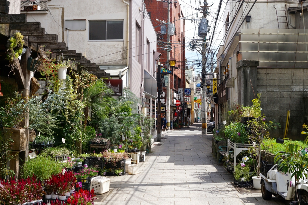 f:id:s06216to:20160917130452j:plain