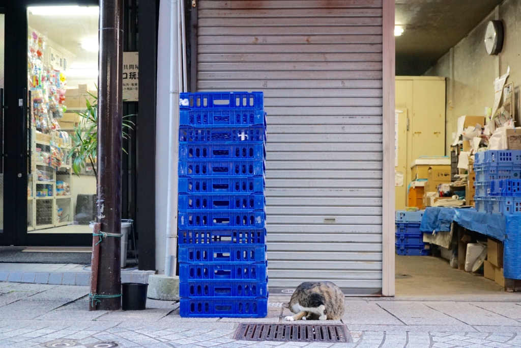 f:id:s06216to:20161228164859j:plain