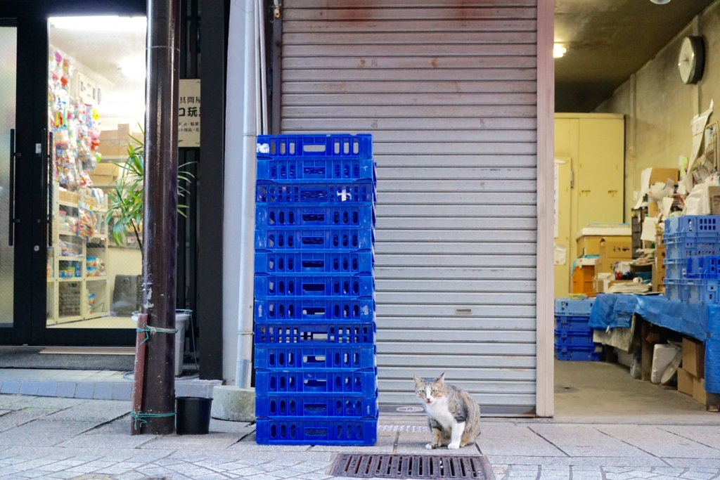 f:id:s06216to:20161228164907j:plain