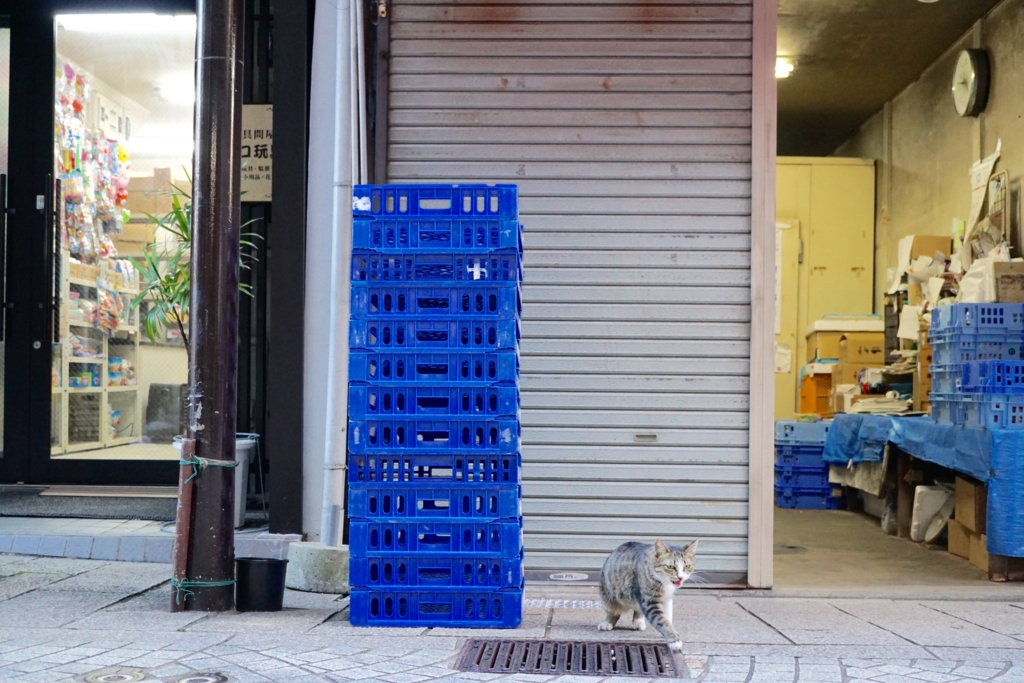 f:id:s06216to:20161228164909j:plain