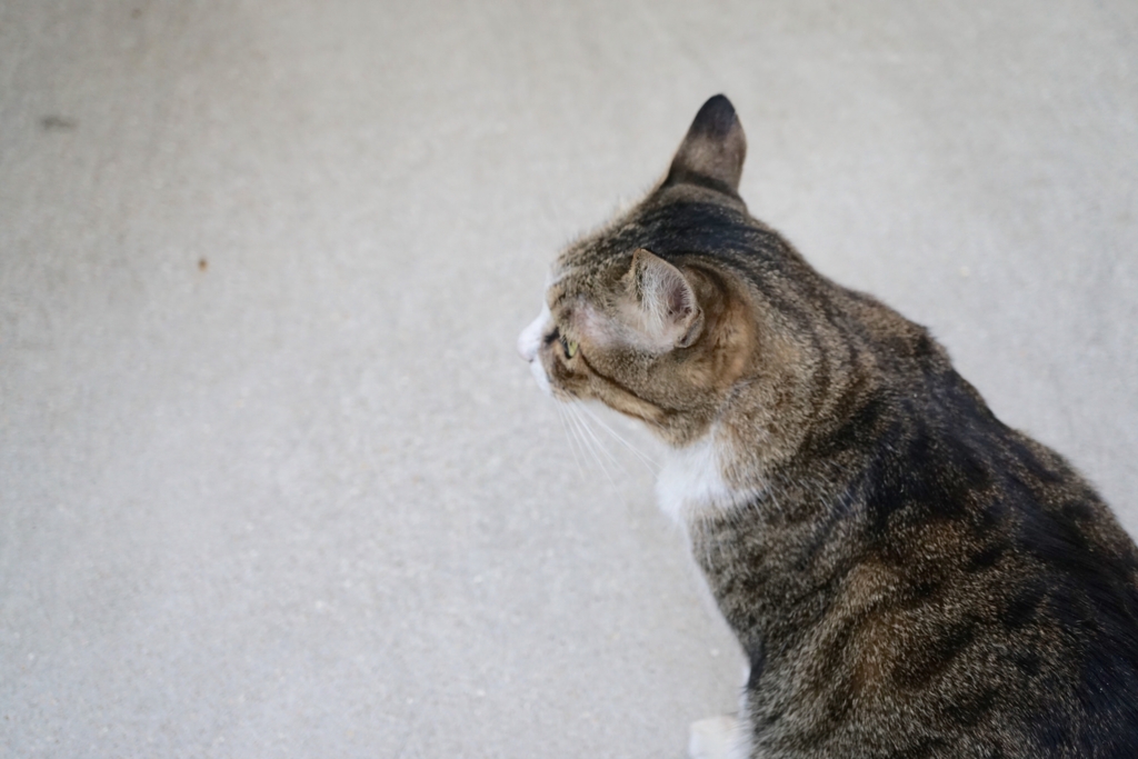 f:id:s06216to:20161228164948j:plain