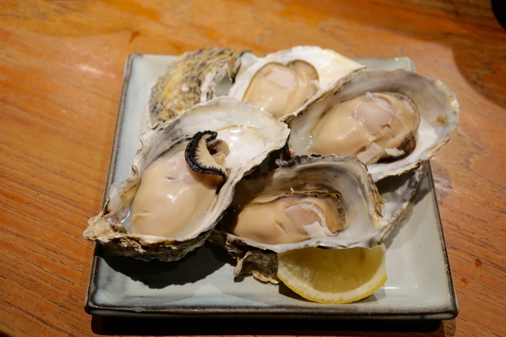 f:id:s06216to:20161230194341j:plain